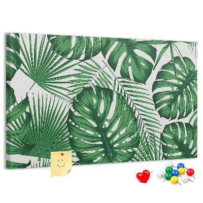 Cork board Monstera leaves