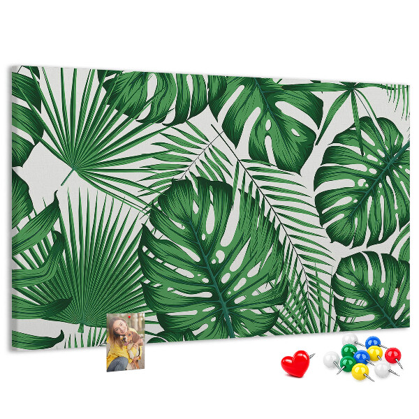 Cork board Monstera leaves