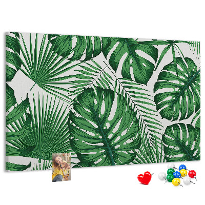 Cork board Monstera leaves