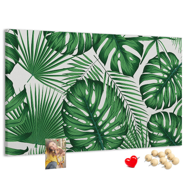 Cork board Monstera leaves