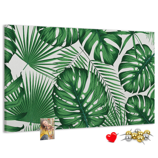 Cork board Monstera leaves