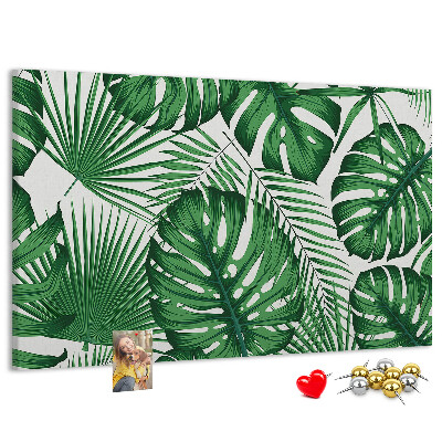 Cork board Monstera leaves