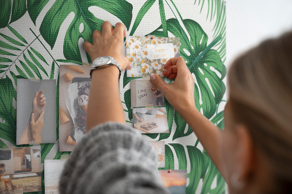 Cork board Monstera leaves