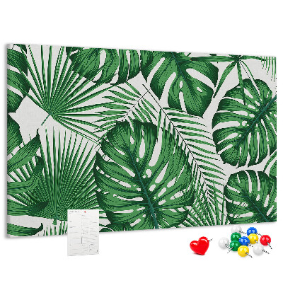Cork board Monstera leaves