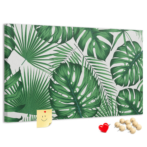 Cork board Monstera leaves