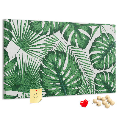Cork board Monstera leaves
