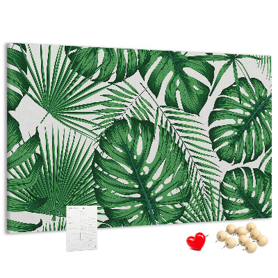 Cork board Monstera leaves