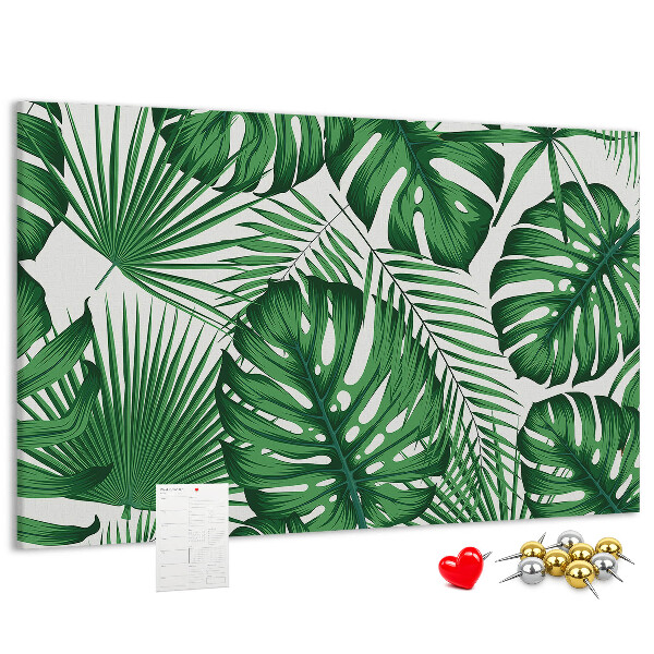 Cork board Monstera leaves
