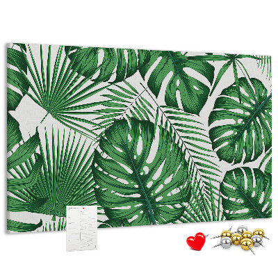Cork board Monstera leaves