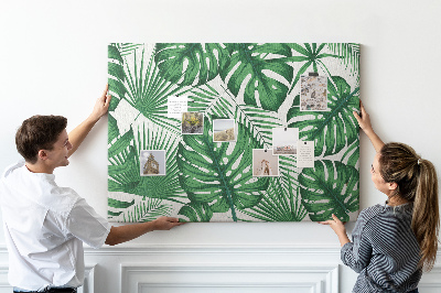 Cork board Monstera leaves