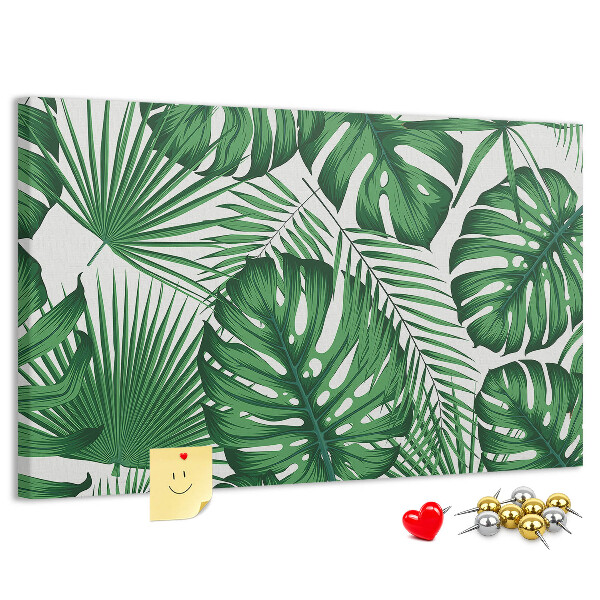 Cork board Monstera leaves