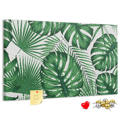 Cork board Monstera leaves