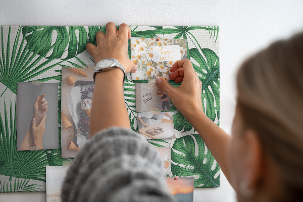 Cork board Monstera leaves