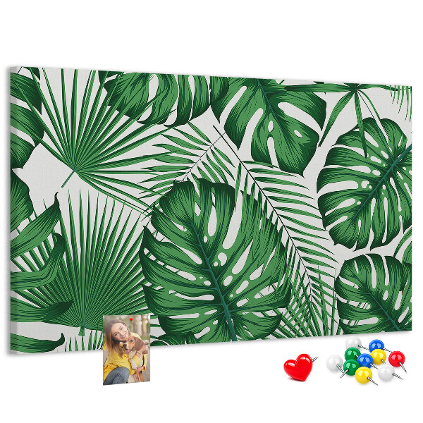 Cork board Monstera leaves