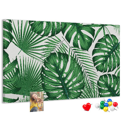 Cork board Monstera leaves