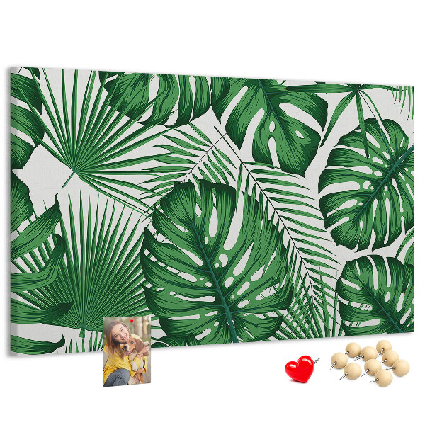 Cork board Monstera leaves