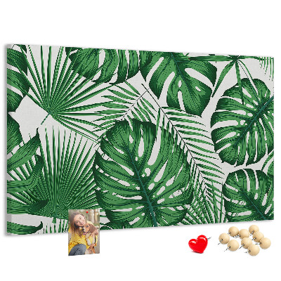 Cork board Monstera leaves
