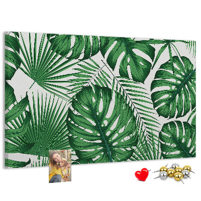 Cork board Monstera leaves