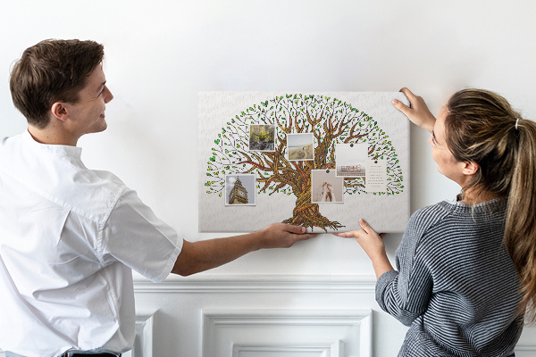 Cork board Tree roots