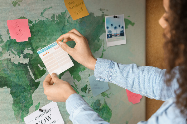 Cork memo board Watercolor world map