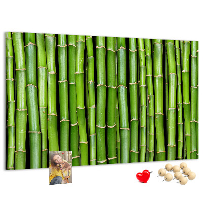 Cork board Bamboo wall