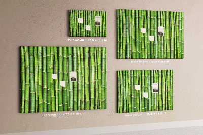 Cork board Bamboo wall