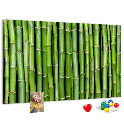 Cork board Bamboo wall
