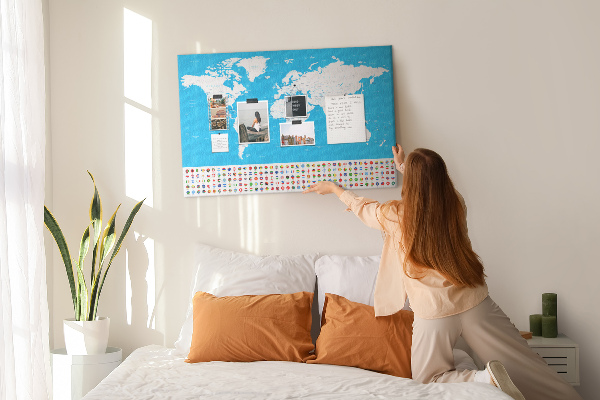 Cork display board Countries outline map