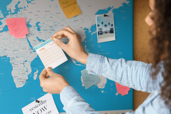 Cork display board Countries outline map