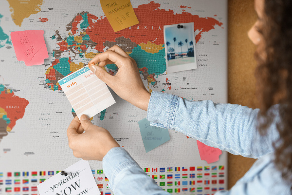 Cork memo board Colorful world map