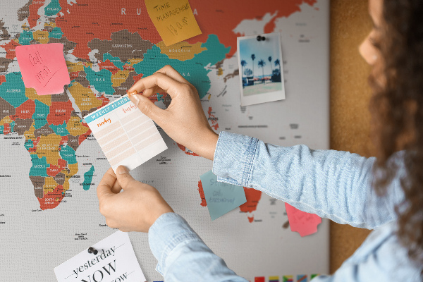 Cork memo board Colorful world map