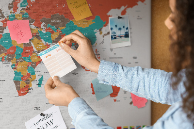 Cork memo board Colorful world map