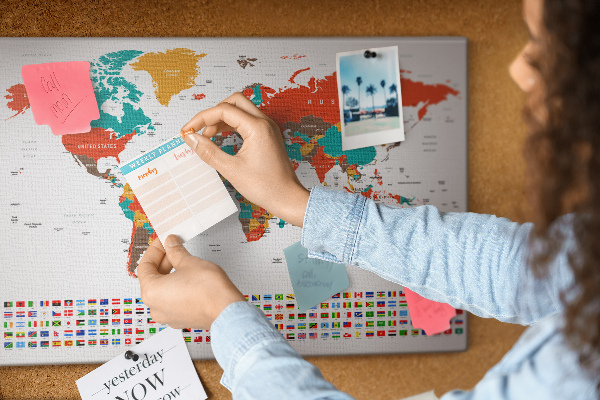 Cork memo board Colorful world map