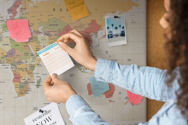Cork display board World map design