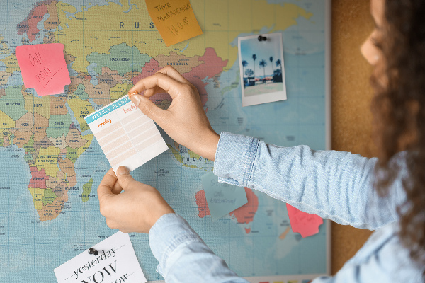 Cork memo board Geography world map