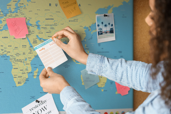 Cork board Classic world map