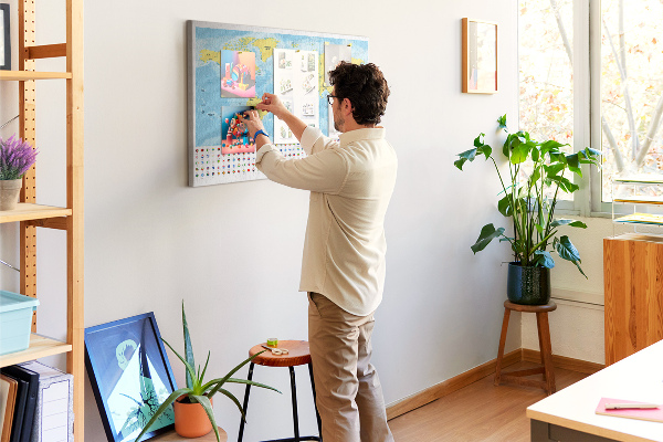 Cork display board World map and flags