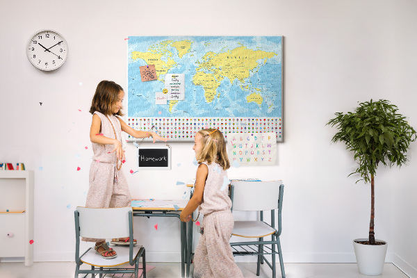 Cork display board World map and flags