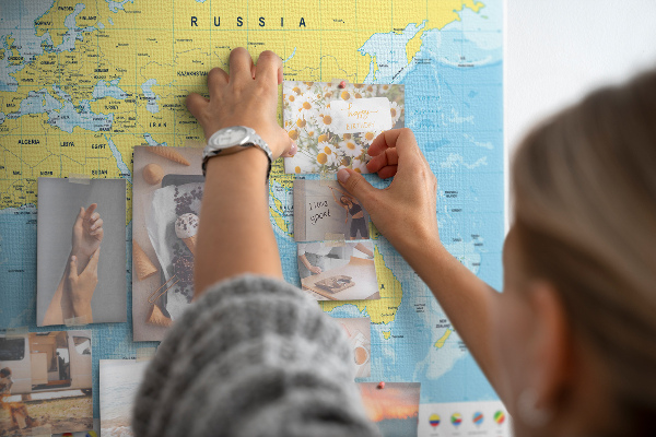 Cork display board World map and flags