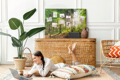 Cork display board Forest sunrise