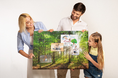 Cork display board Forest sunrise