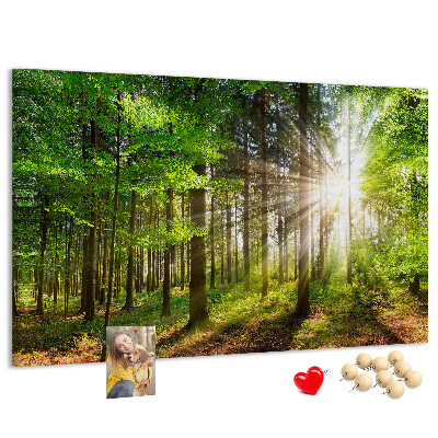 Cork display board Forest sunrise