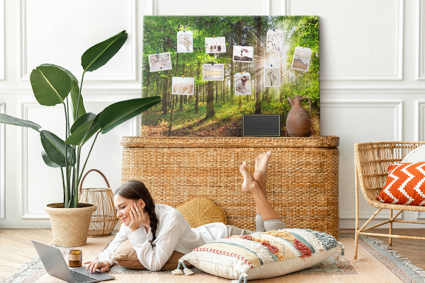Cork display board Forest sunrise