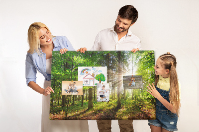 Cork display board Forest sunrise