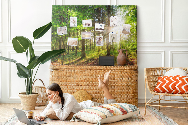 Cork display board Forest sunrise