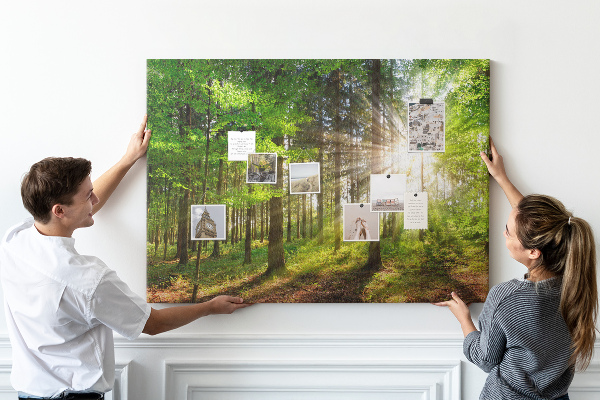 Cork display board Forest sunrise