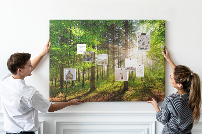 Cork display board Forest sunrise