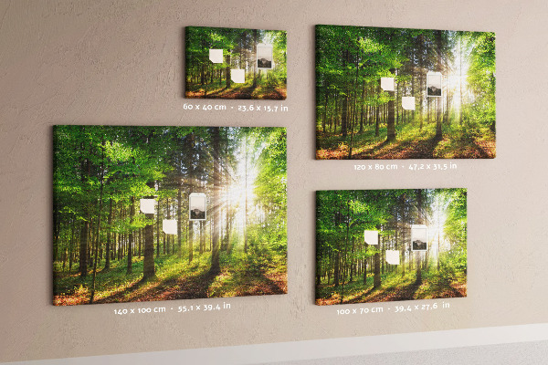 Cork display board Forest sunrise