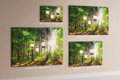 Cork display board Forest sunrise