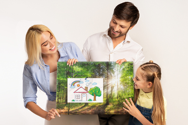 Cork display board Forest sunrise